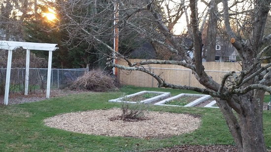 Beginnings of a backyard meditation labyrinth