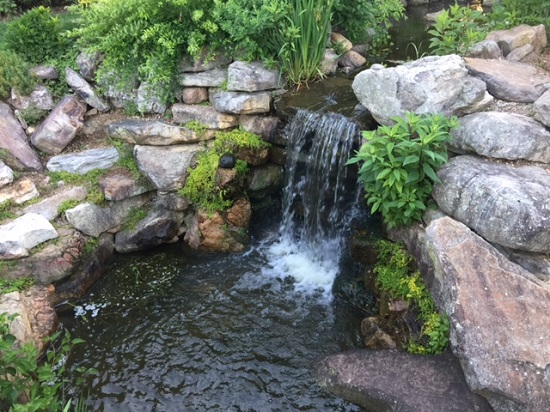 Touring sounds of Blacksburg at Hahn Gardens